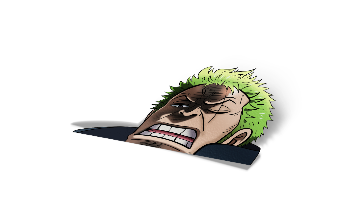 Zoro Disgusted