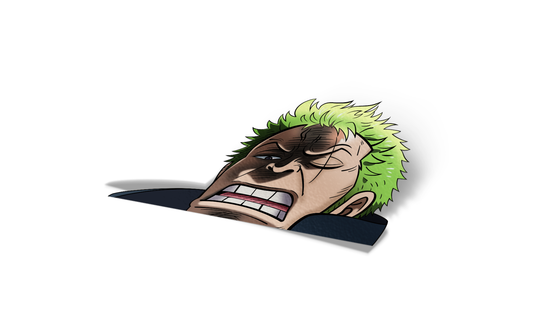 Zoro Disgusted
